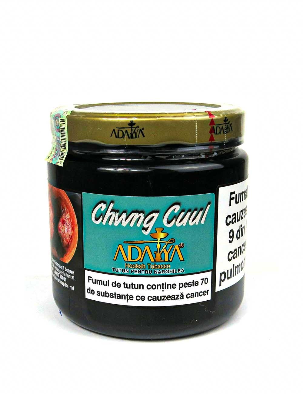 Chewinggum Mint